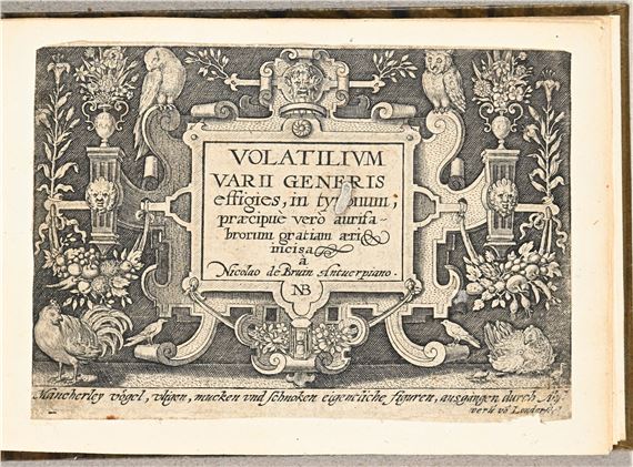 Nicolaus de Bruyn | Volatilium varii generis effigies (1594) | MutualArt