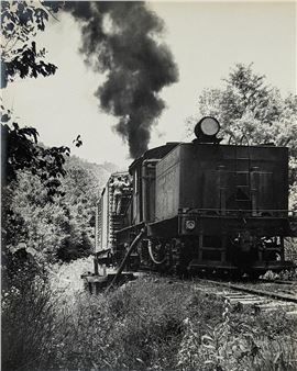 Collectibles & More - Artelisted