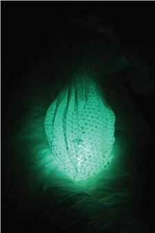 Isabell Rauchenbichler. And the Flowers Are Melting - Salzburger Kunstverein