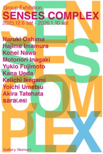 Senses Complex - Gallery Nomart