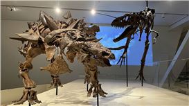 Age of Dinosaurs gallery reopens at Royal Ontario Museum after exciting new expansion