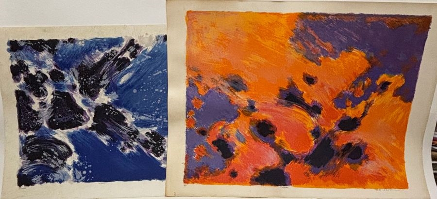 Maurice Elie Sarthou | Outre mer, L'incendie | MutualArt