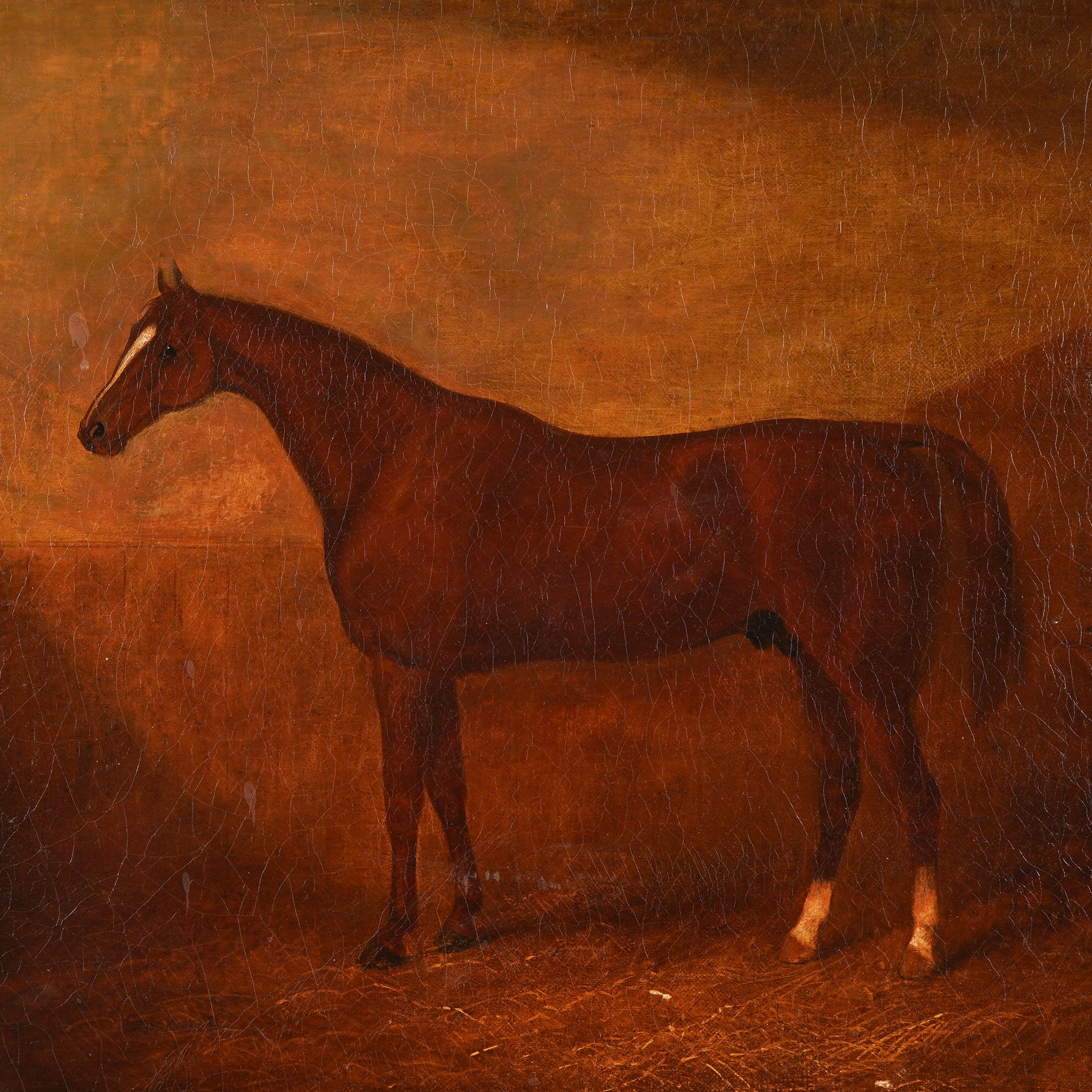 Henry Calvert | Racehorse Cadwell (1860) | MutualArt