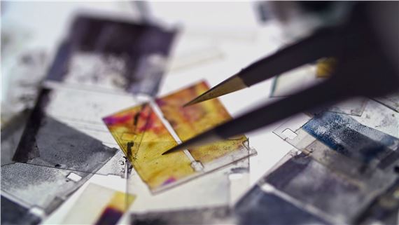 Miles Rufelds: A Hall of Mirrors | Exhibitions | MutualArt