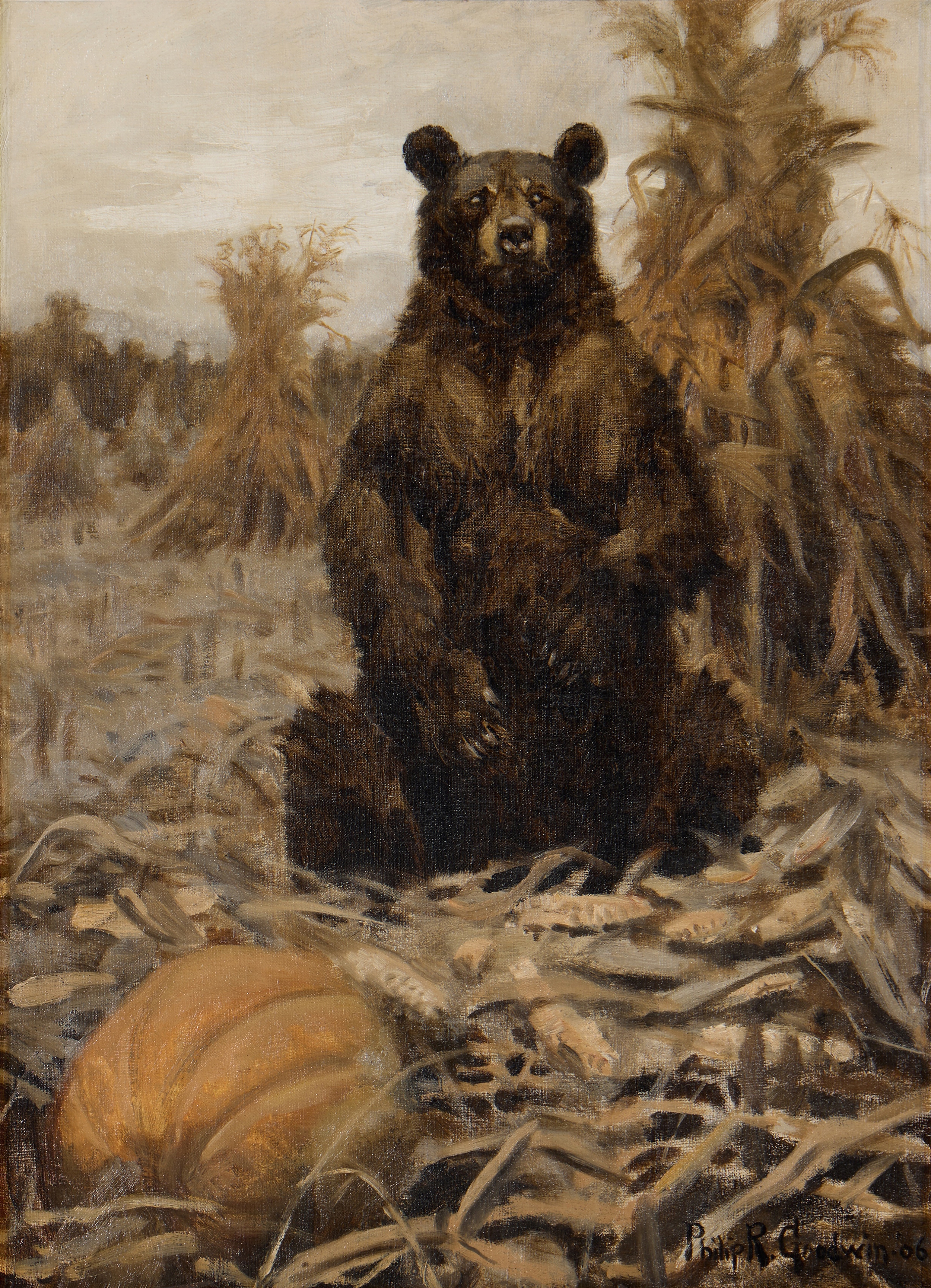 Philip R. Goodwin | The Nature of Bears (1906) | MutualArt