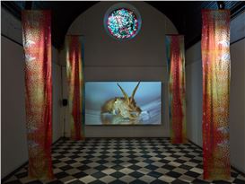 Bianca Baldi at Kunsthal Extra City, Antwerp