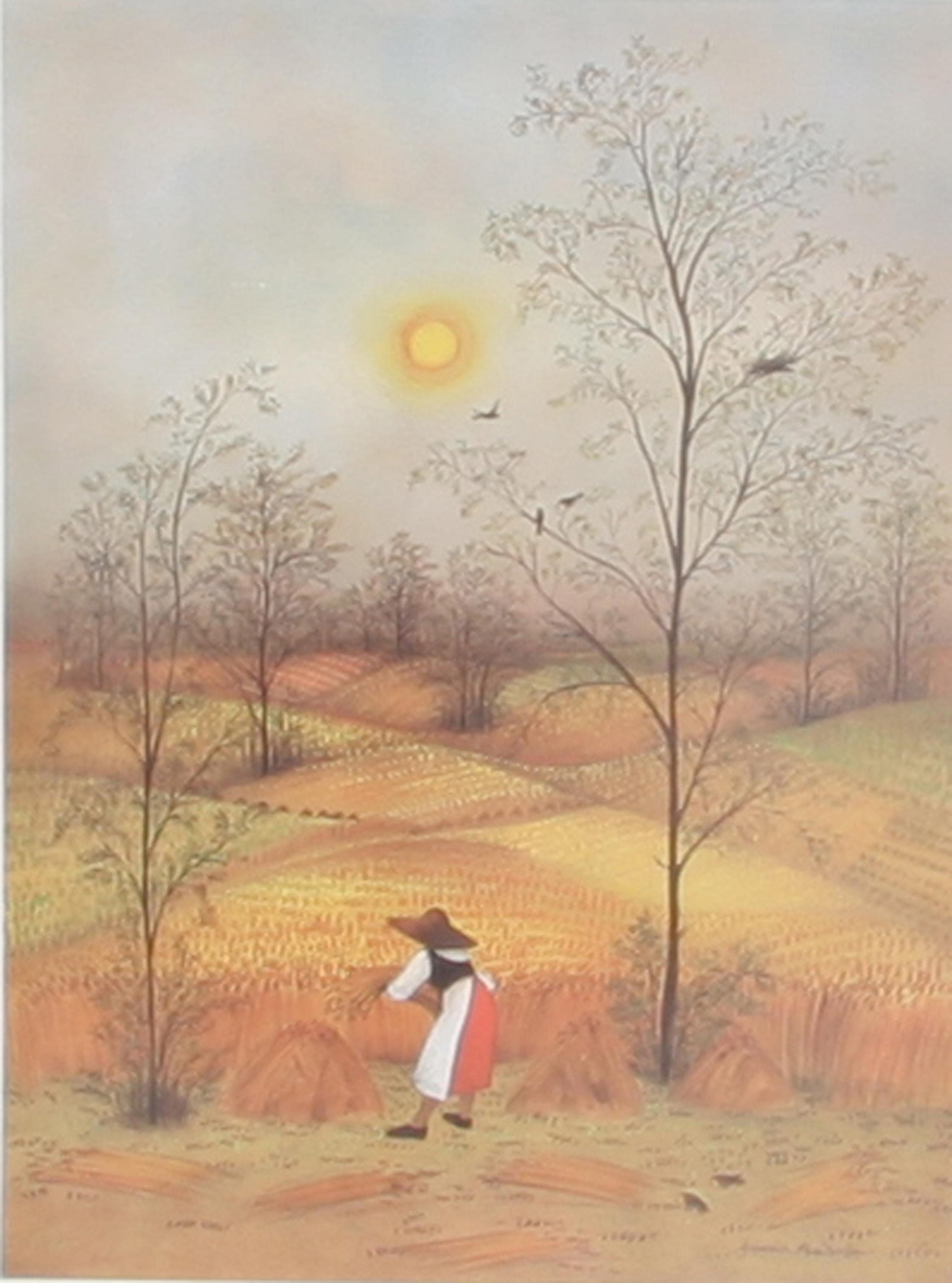 Maria Antonia Dans | Field Work I | MutualArt