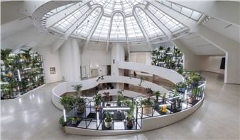 Best of 2025: The Exhibitions That Defined the Year