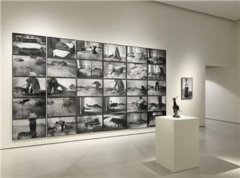 Exhibition at Abby explores finding meaning in uncertain times