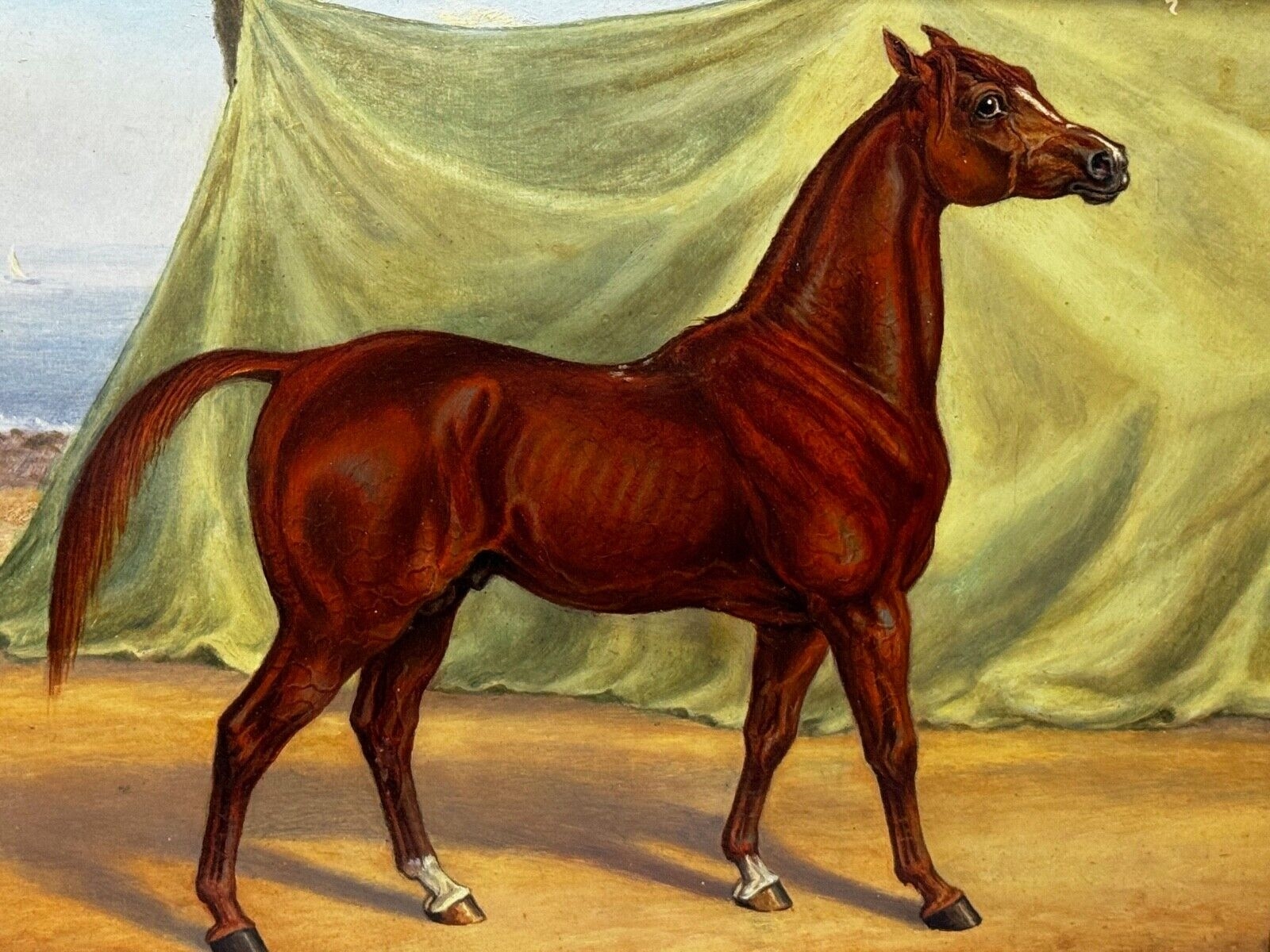 Charles Bilger Spalding | Chestnut Arab in the Bombay Stables (1900 ...