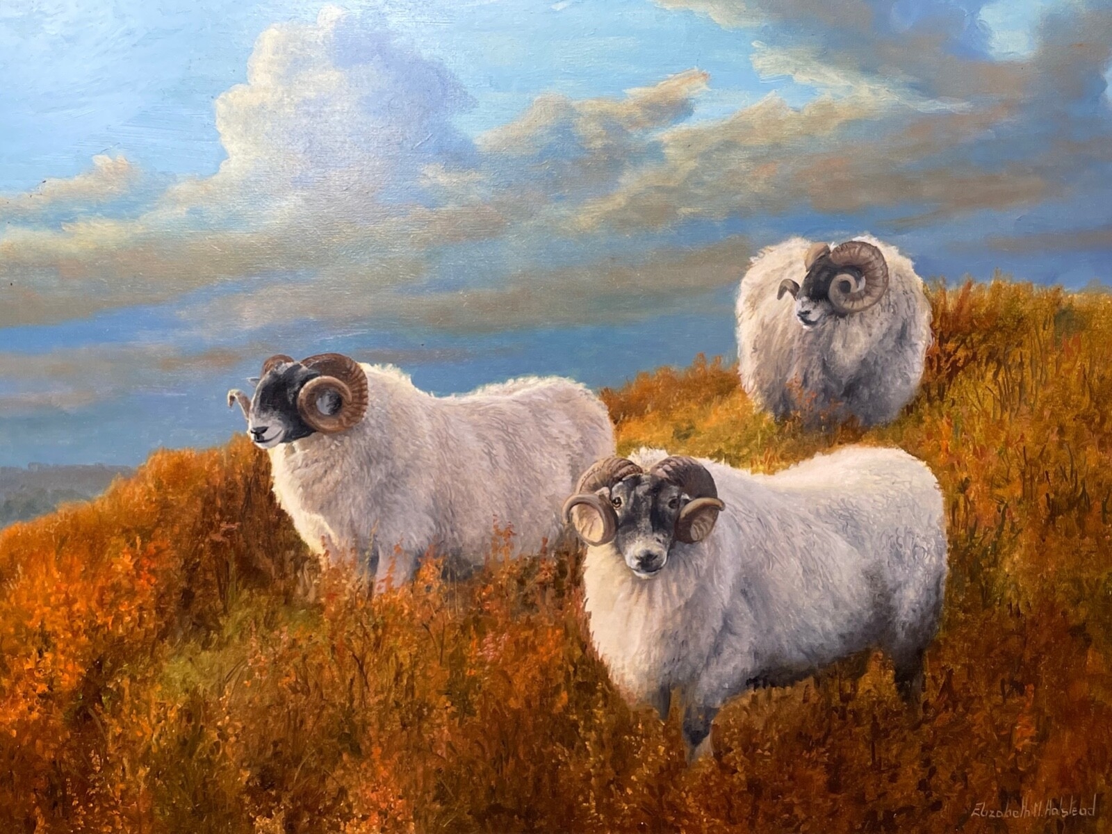 Elizabeth Halstead | Sheep on the hillside (Early 21st Century) | MutualArt