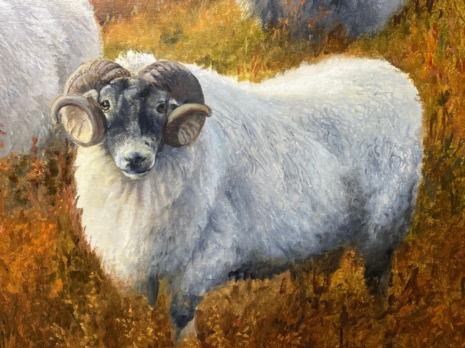 Elizabeth Halstead | Sheep on the hillside (Early 21st Century) | MutualArt