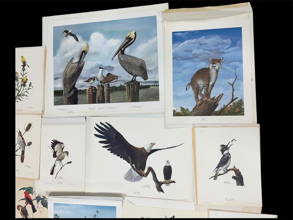 Ray Harm | Collection of Unframed Ray Harm Prints | MutualArt