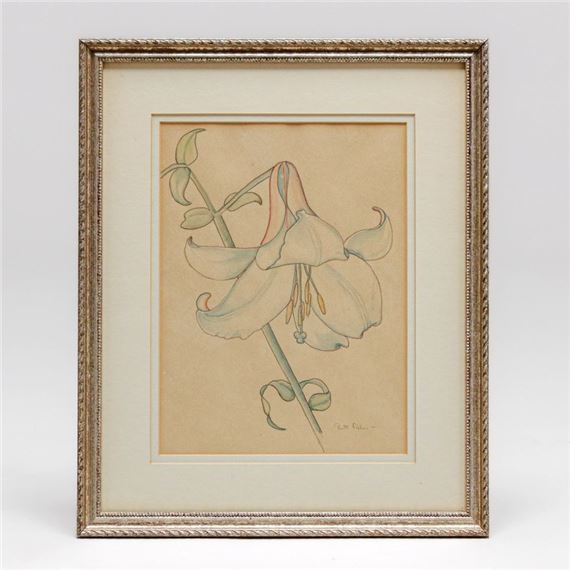 Ruth Lincoln Fisher | ILLUSTRATIVE BOTANICAL LILY (Circa 1930s) | MutualArt