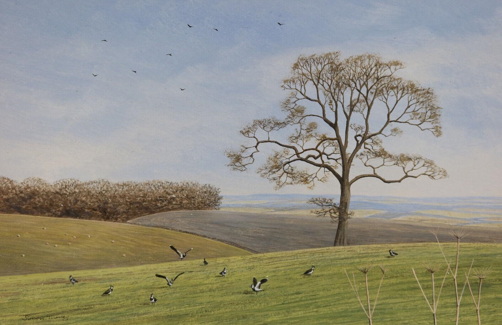 Simon Turvey | Spring countryside landscape | MutualArt