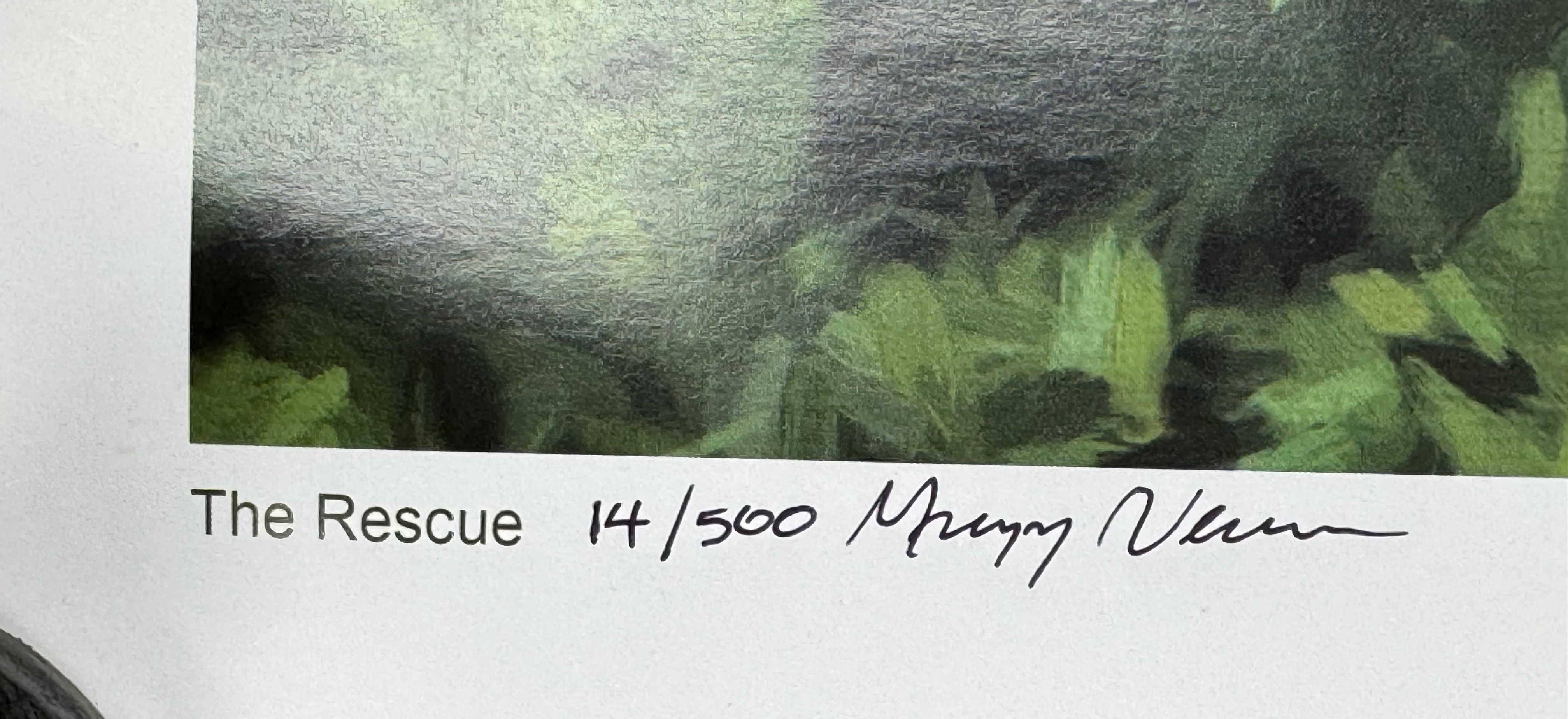 Murray Veon | The Rescue | MutualArt