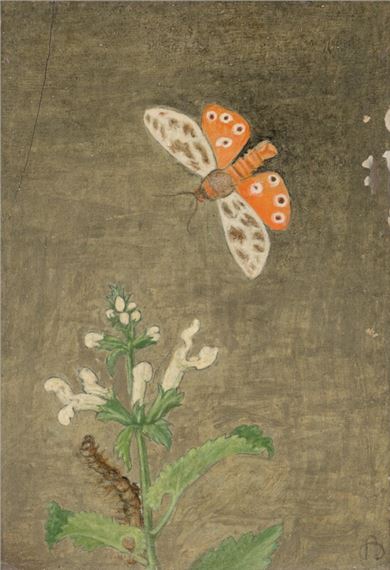 Maxwell Ashby Armfield | Magnolia Leaves and Shell and Tiger Moth and ...