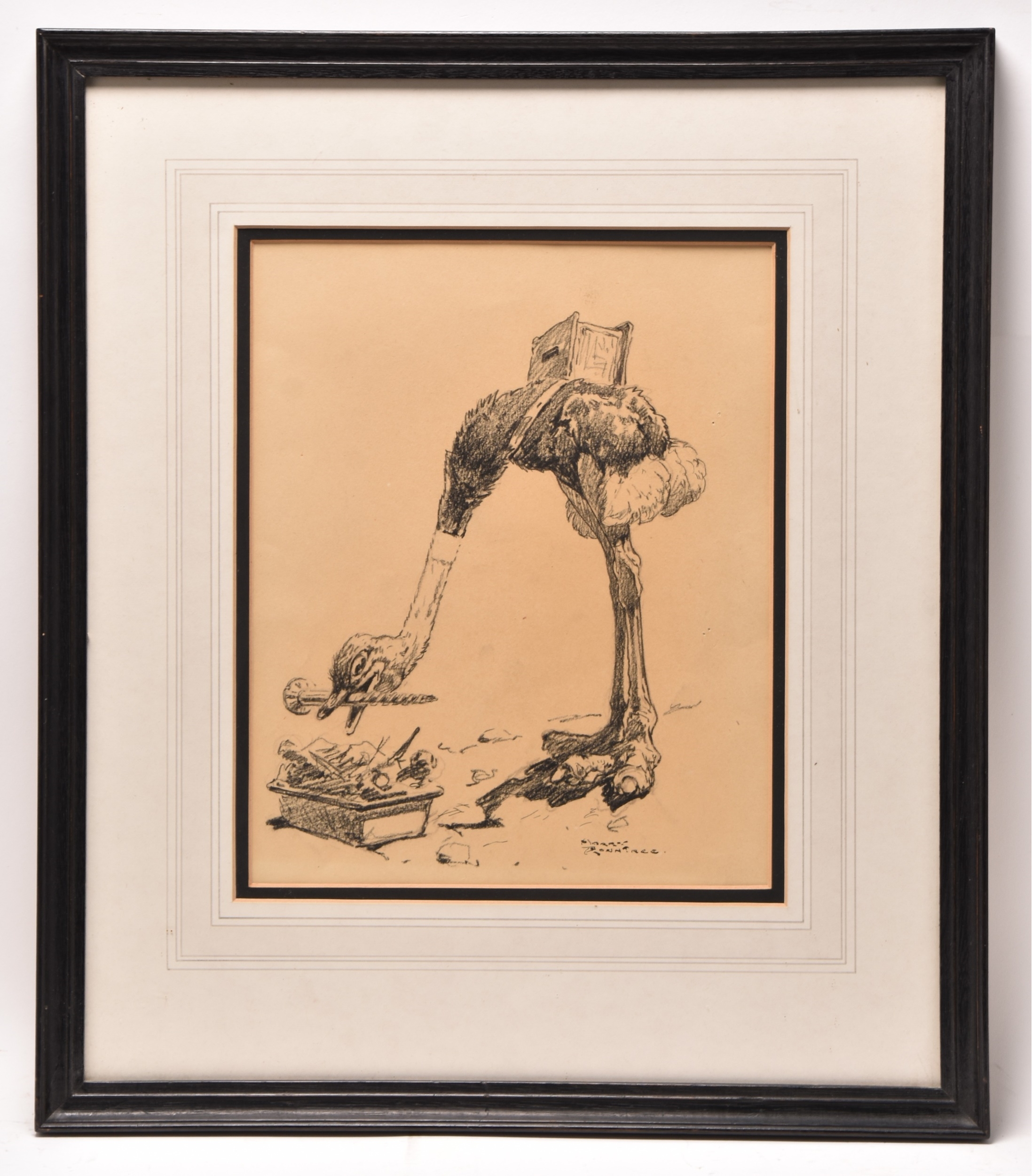 Harry Rountree | Ostrich | MutualArt