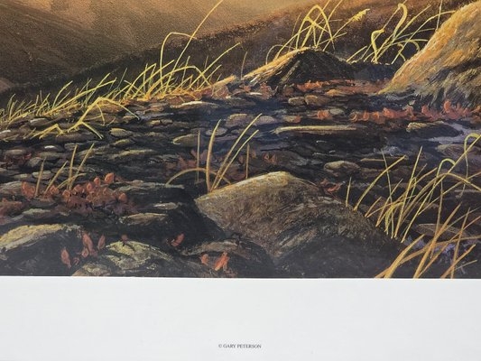 Gary Peterson | Artist Proof of a Eagle Near Mt. Denali (20th Century ...