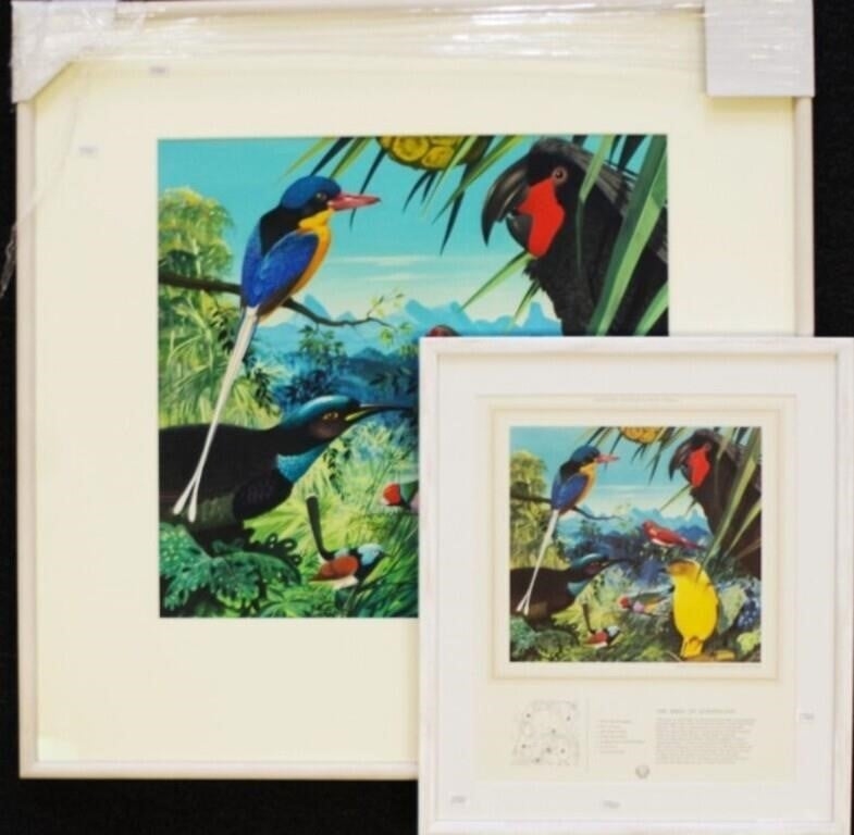 Ralph Malcolm Warner | The Birds of Queensland (Circa 1959) | MutualArt