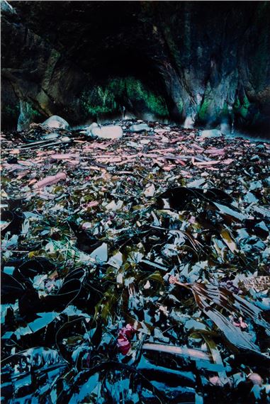 Courtney Milne | Dzonokwa's Sea Cave, Place of Grieving, Rainbow Kelp ...