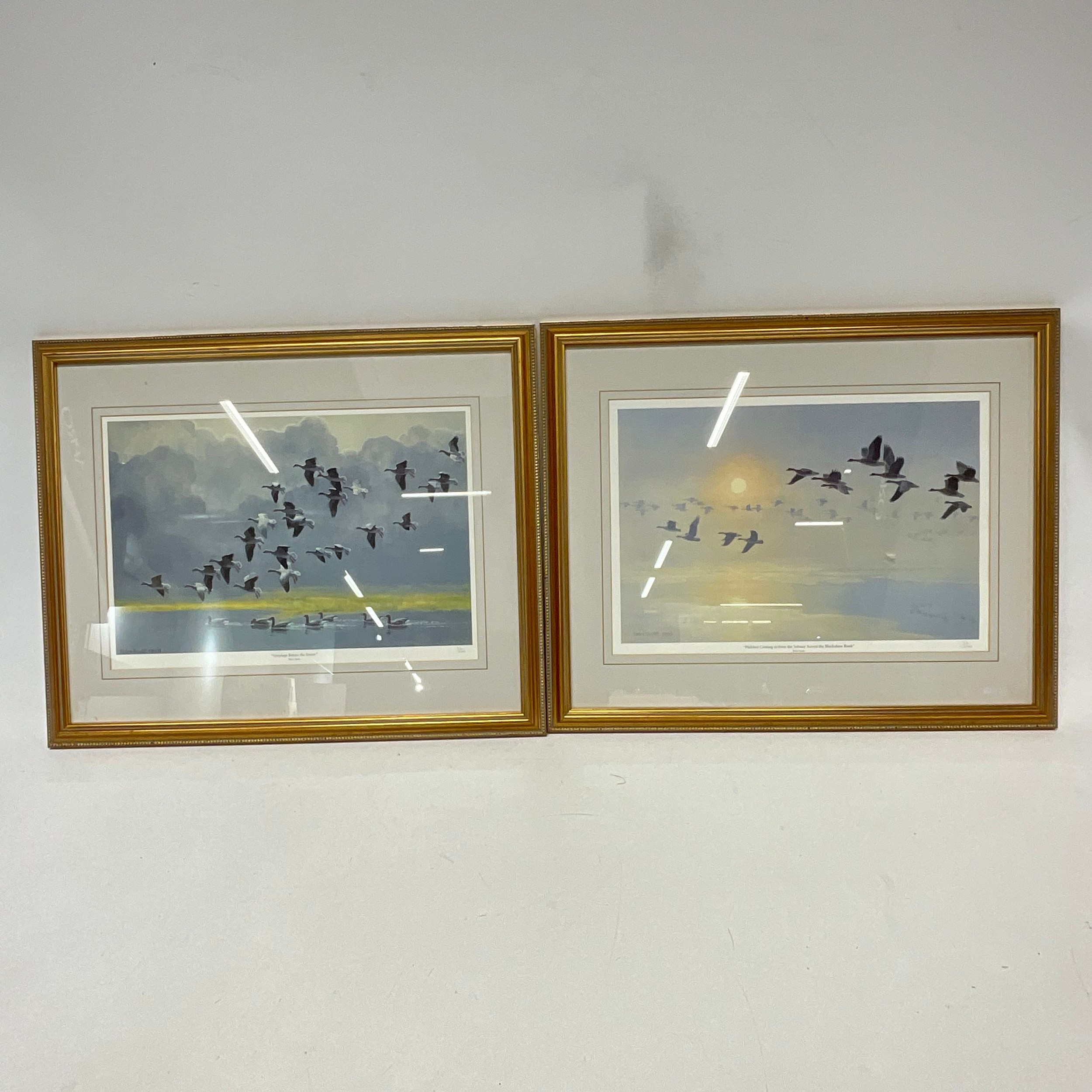 Peter Scott | Four Peter Scott limited edition prints 1970s - 1980s ...