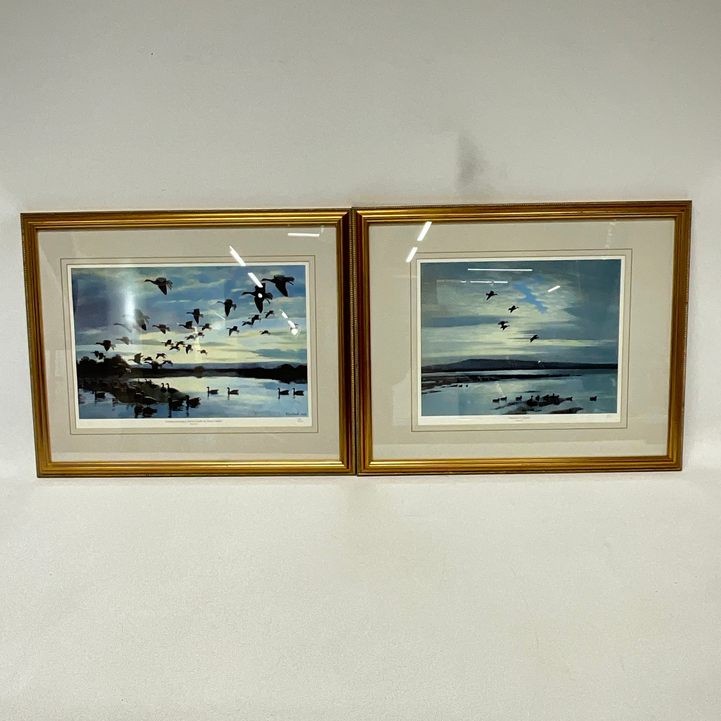 Peter Scott | Four Peter Scott limited edition prints 1970s - 1980s ...