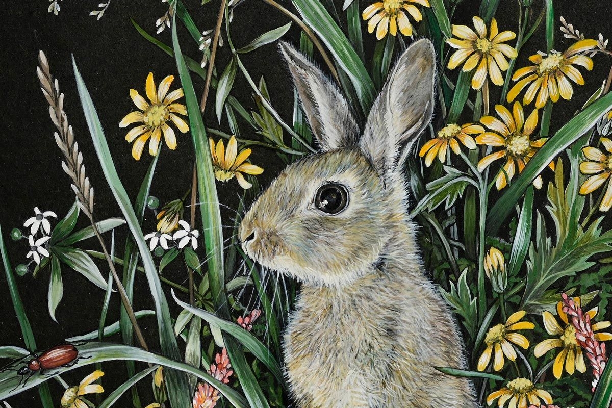 Barbara Mitchell | Rabbit in Foliage | MutualArt