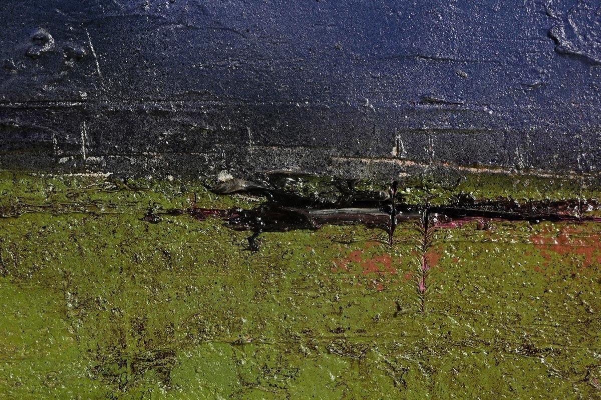 Colin Flack | Western Light | MutualArt