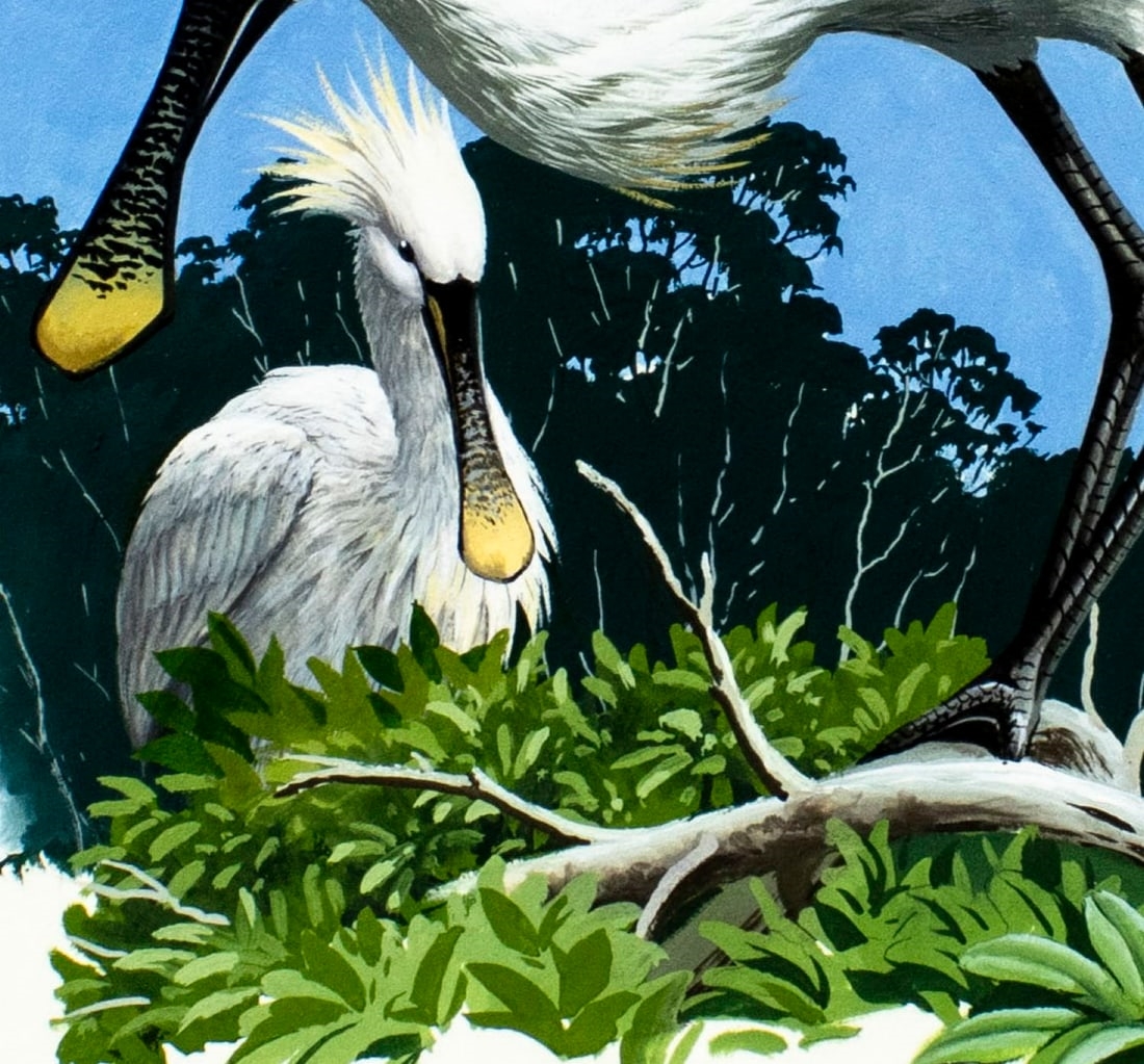 Anthony J. Rudisill | Senegal Spoonbill Bird (Circa 1986) | MutualArt