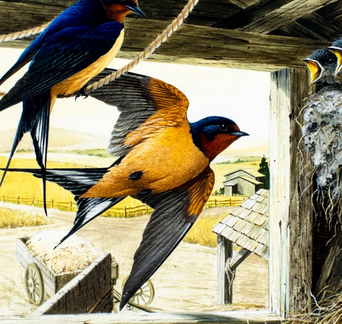 Anthony J. Rudisill | Barn Swallow Bird (1983) | MutualArt