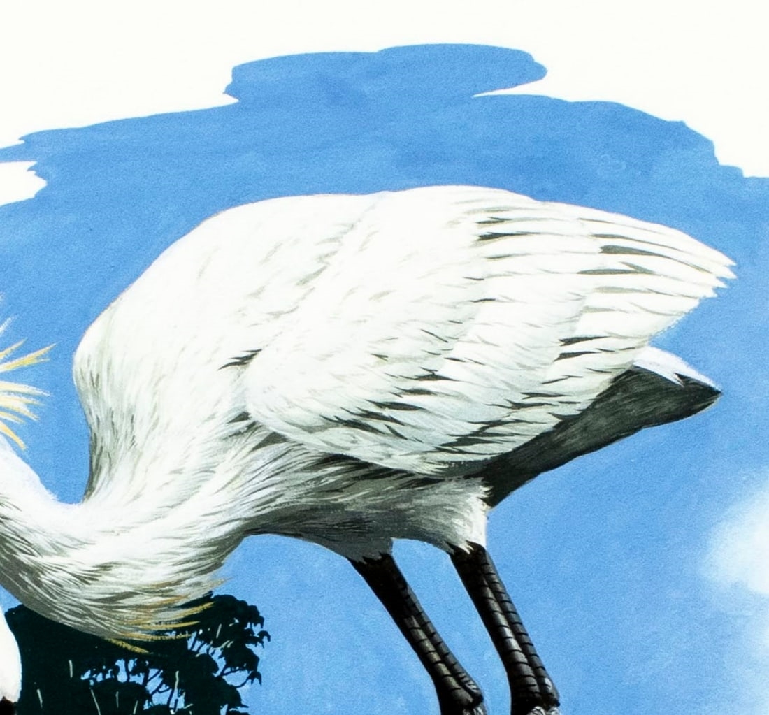 Anthony J. Rudisill | Senegal Spoonbill Bird (Circa 1986) | MutualArt