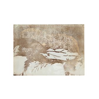 DEATH BED PHOTOGRAPH