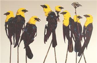 Framing Nature: Animals through Art