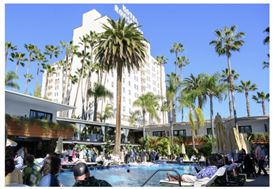 Felix Art Fair Unveils Exhibitor Lineup for 8th Edition