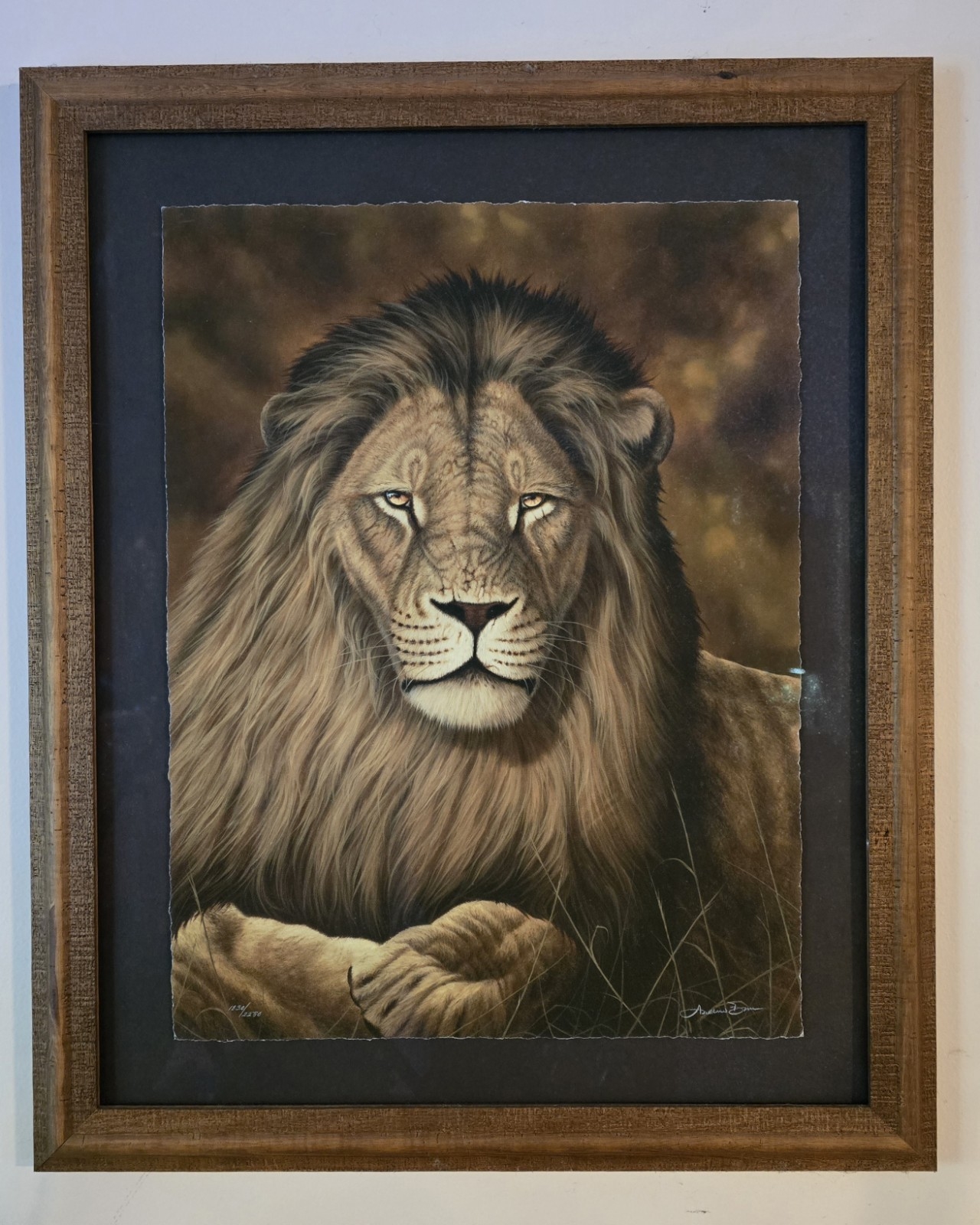 Andrew Bone | Collection of Andrew Bone African Wildlife Giclee prints ...