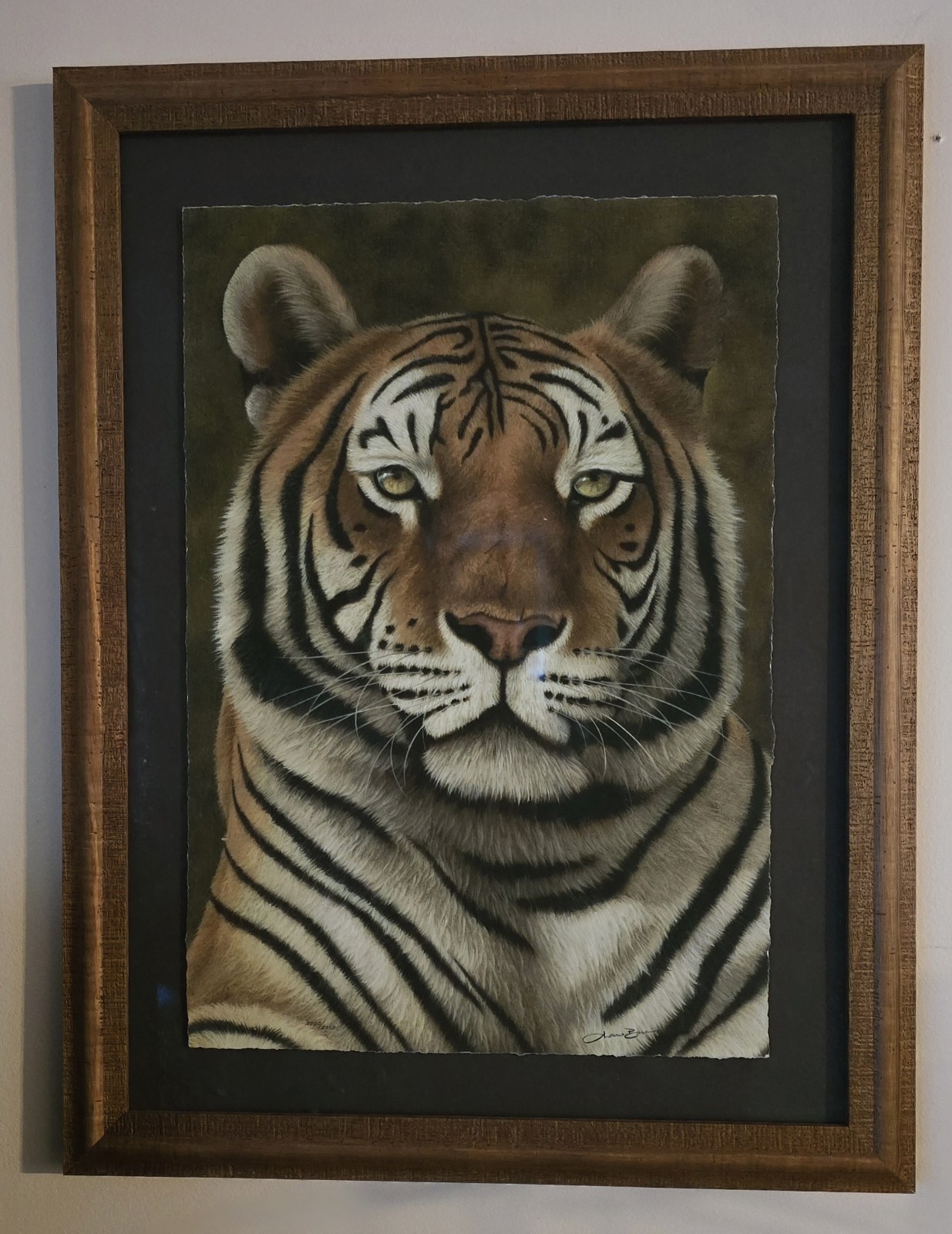 Andrew Bone | Collection of Andrew Bone African Wildlife Giclee prints ...