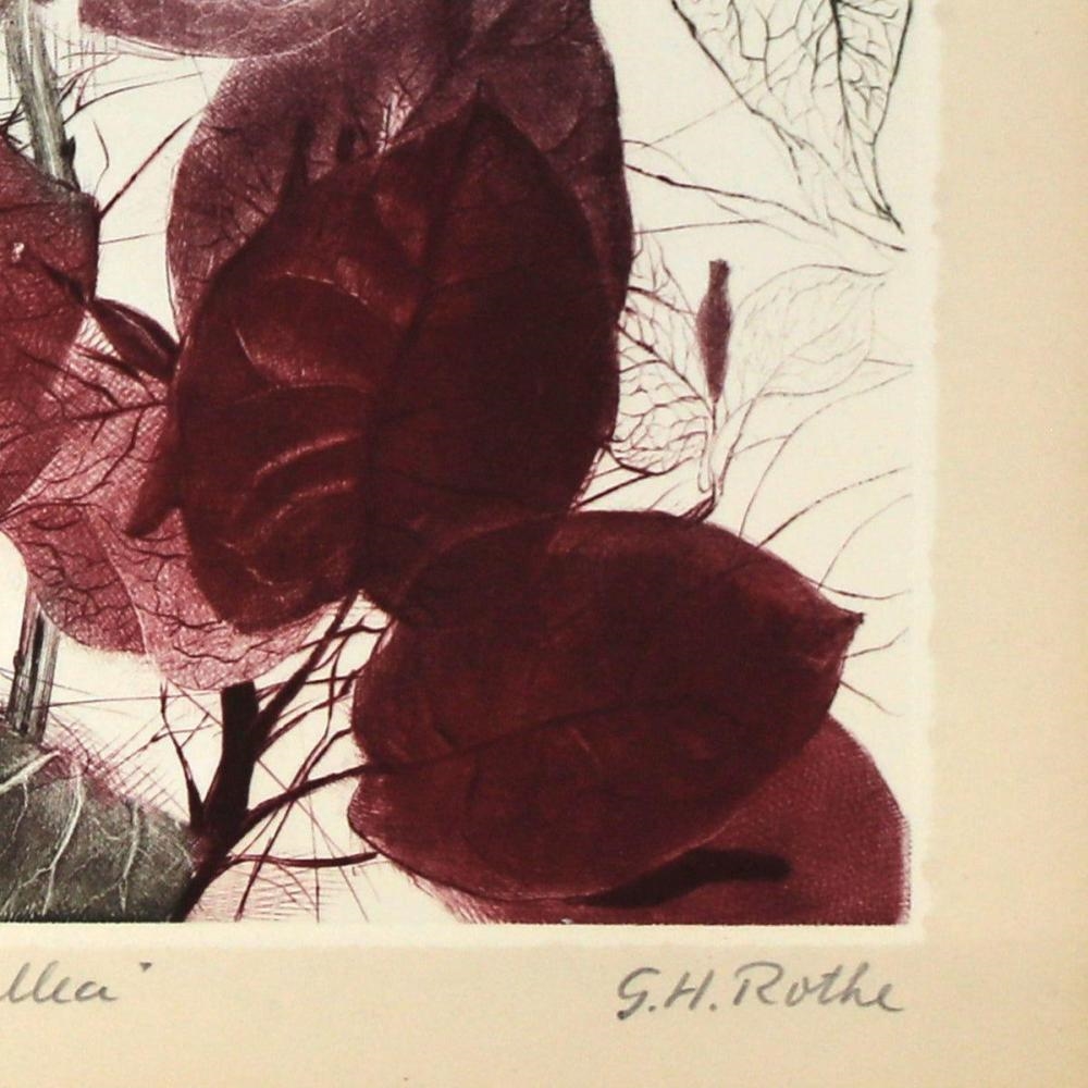 Gatja Helgart Rothe | Bougainvillea | MutualArt