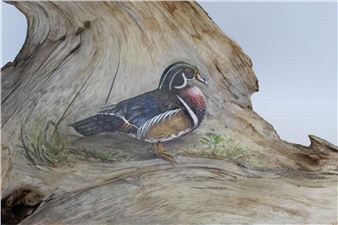 Male Duck - Dennis Schmidt