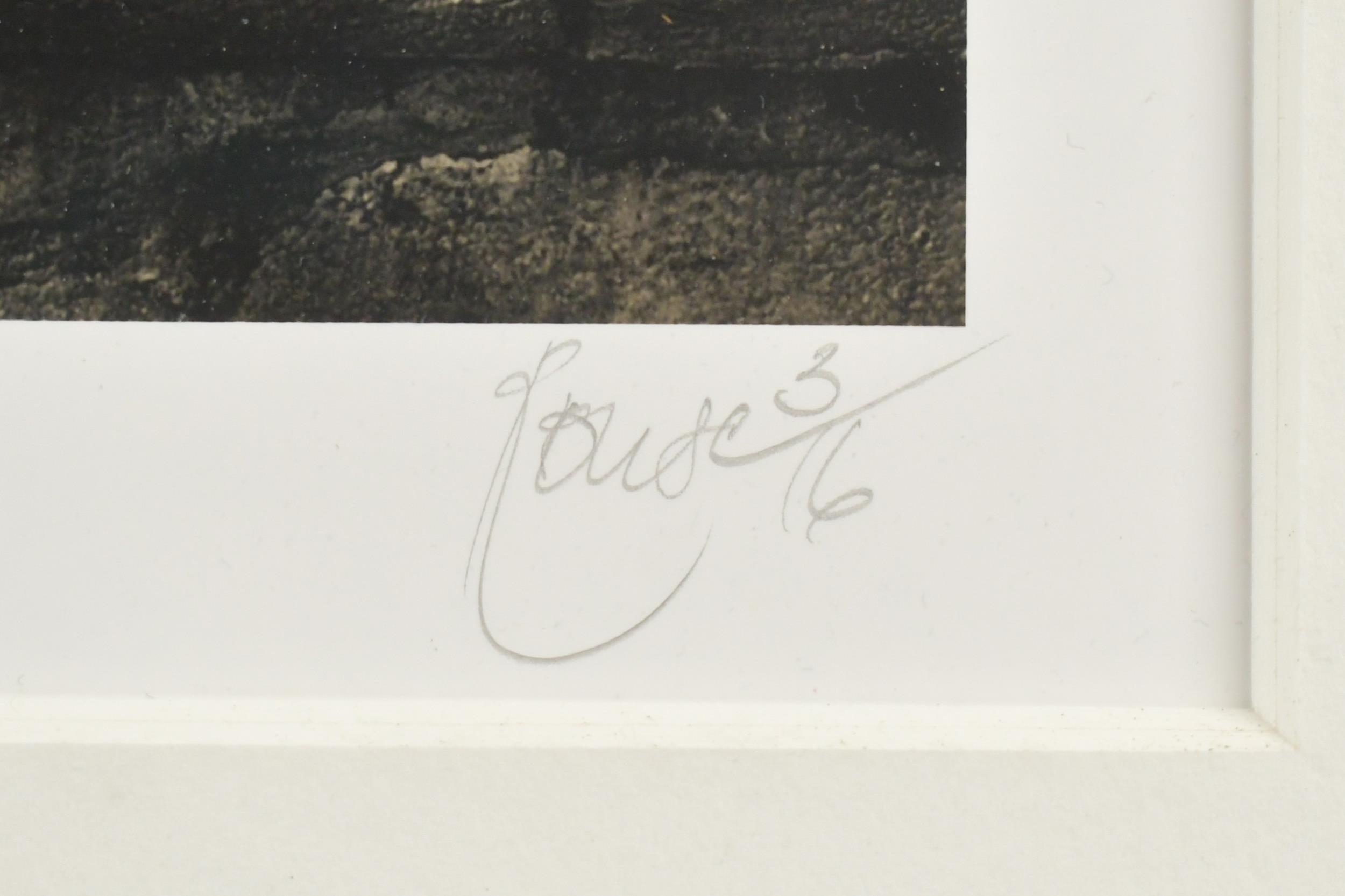 Dominic Rouse | TWO DOMINICK ROUSE PHOTOGRAPHS | MutualArt