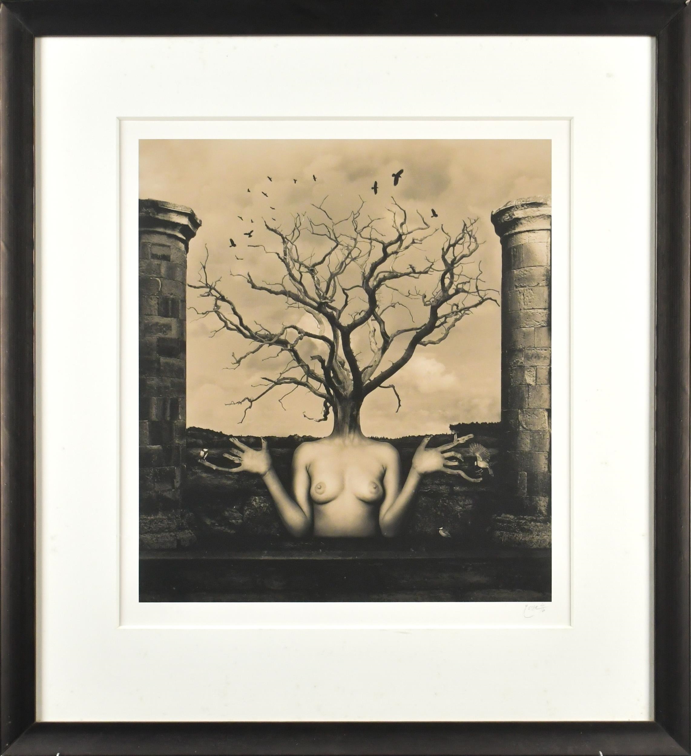 Dominic Rouse | TWO DOMINICK ROUSE PHOTOGRAPHS | MutualArt