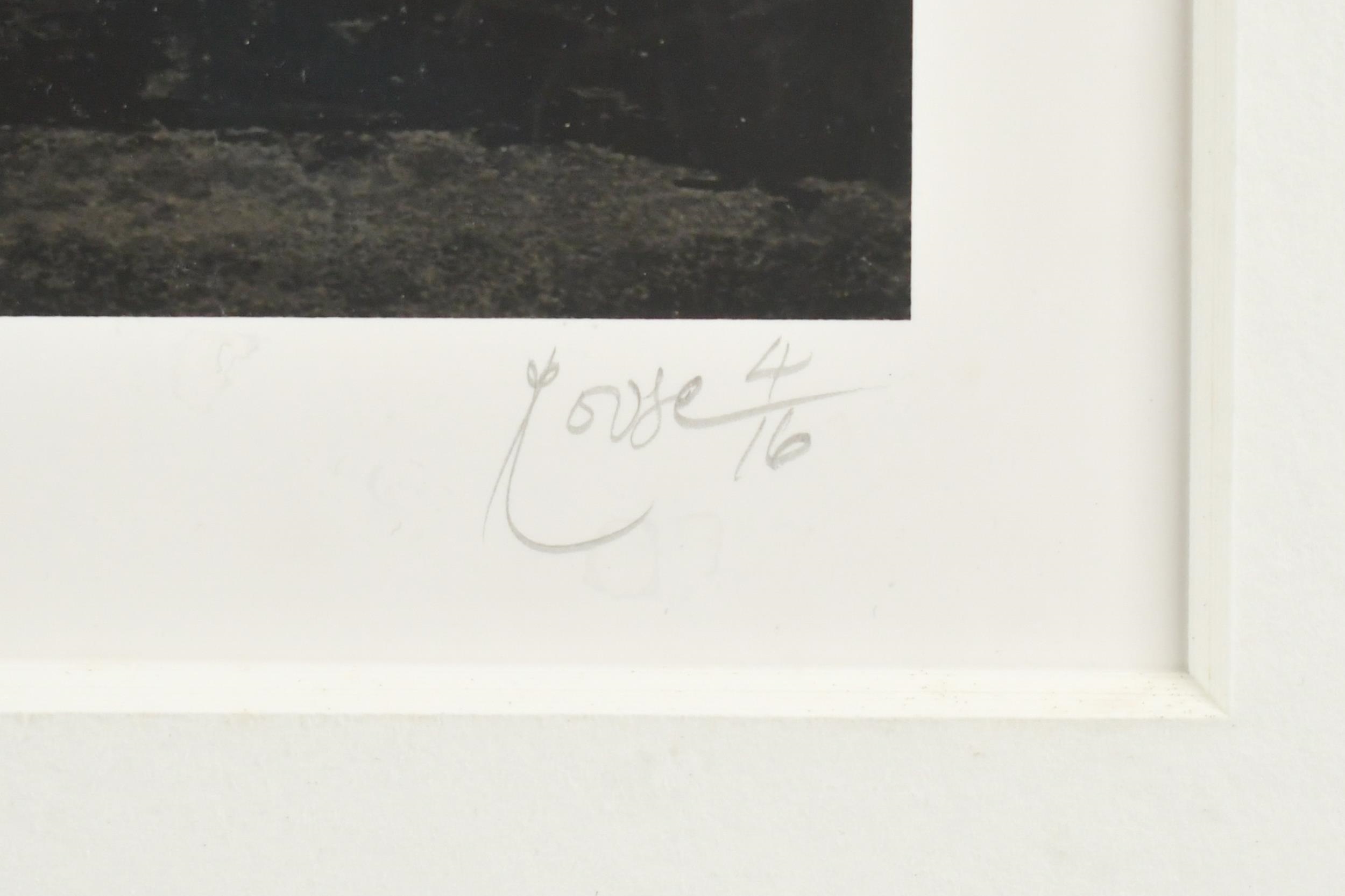 Dominic Rouse | TWO DOMINICK ROUSE PHOTOGRAPHS | MutualArt