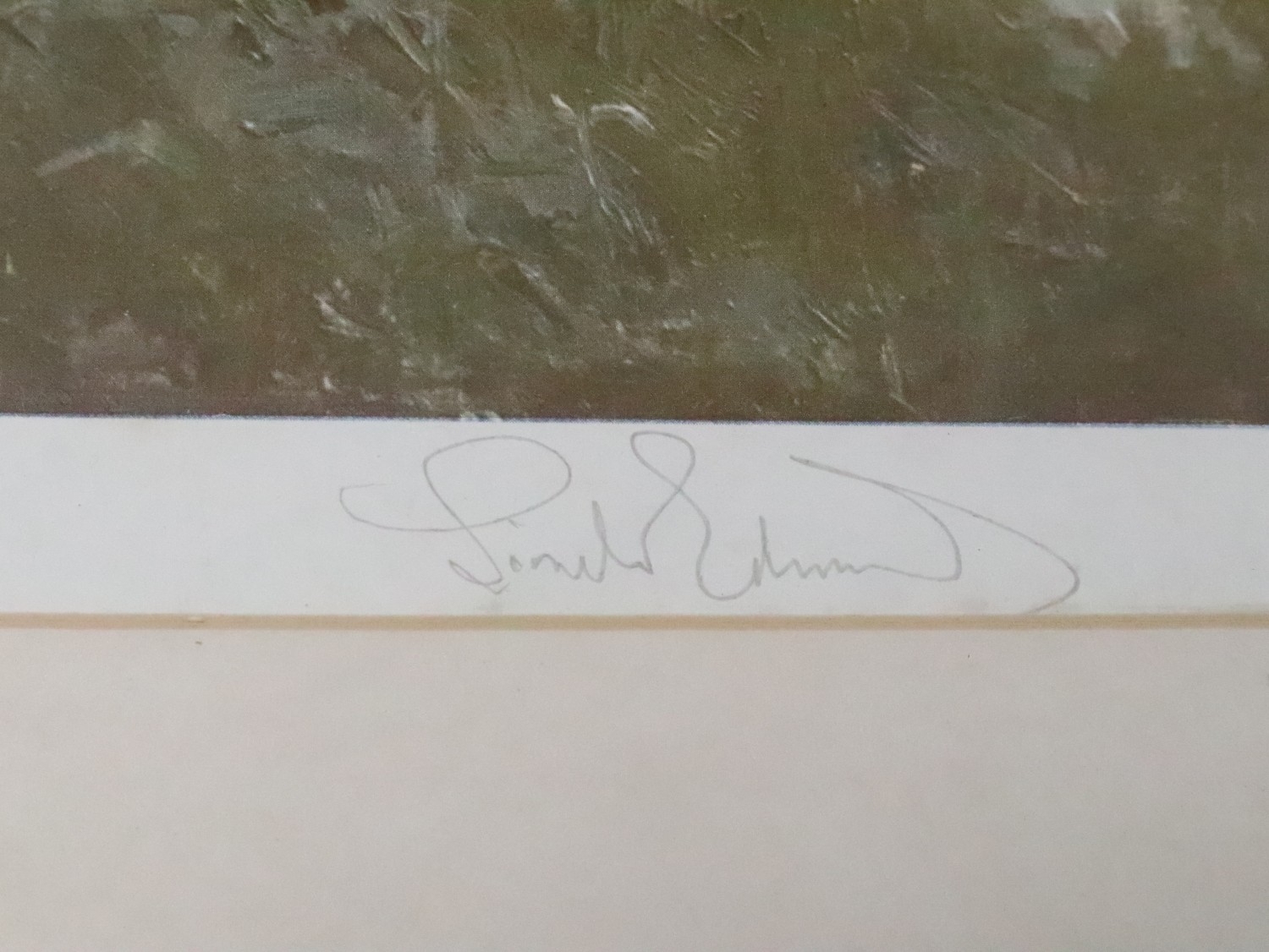 Lionel Edwards | The Devon & Somerset Hounds | MutualArt