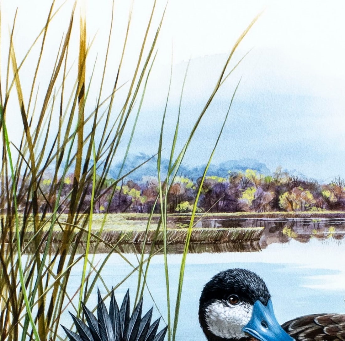 Don Balke | Ruddy Ducks (1981) | MutualArt