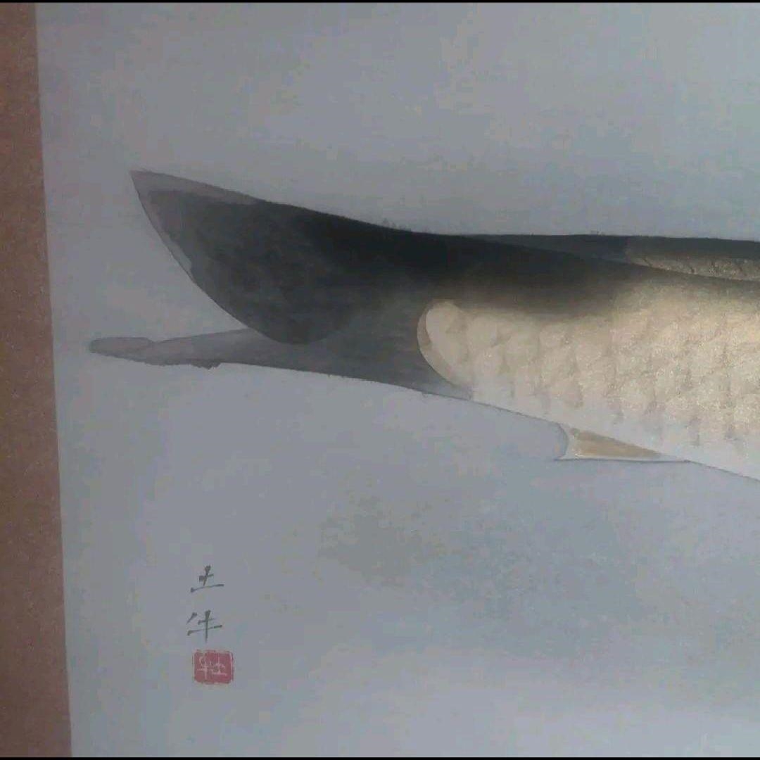 Togyu Okumura | Koi Fish Hanging Scroll | MutualArt