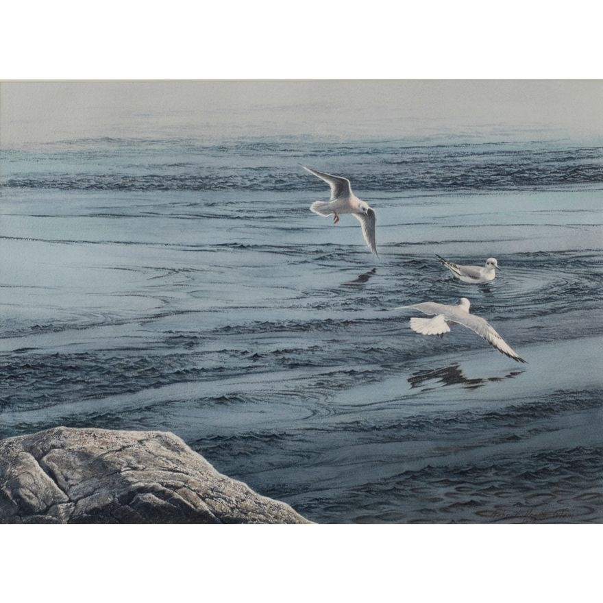 Robert Verity Clem | Gulls (1975) | MutualArt