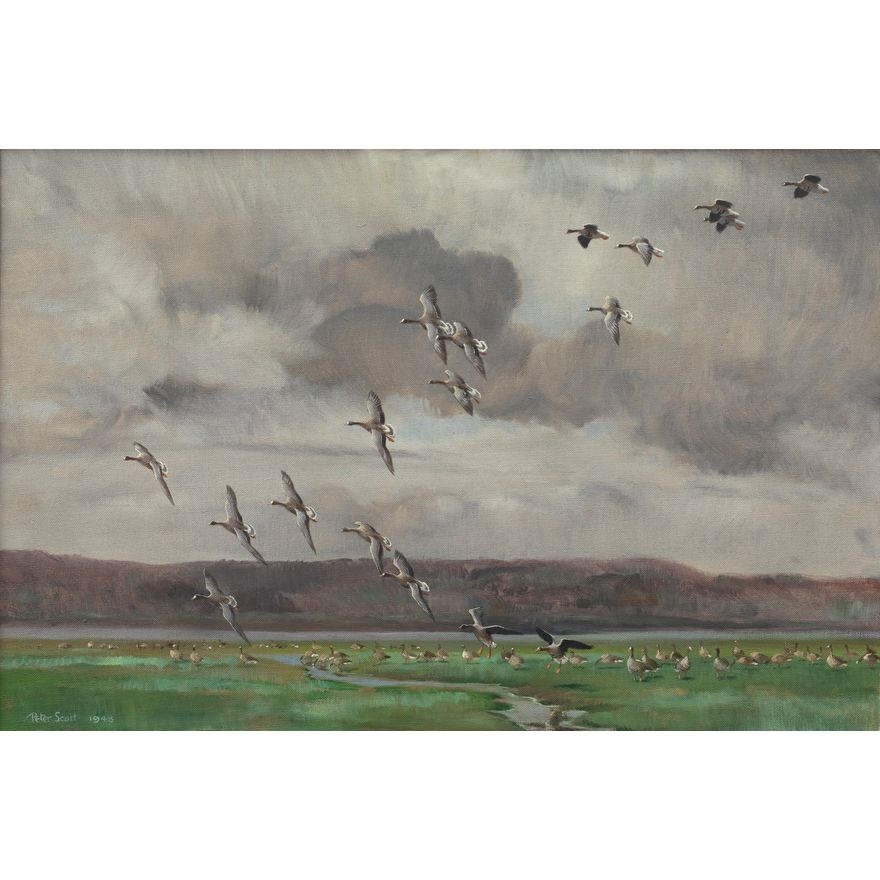 Peter Markham Scott | Pink Feet on the Fens (1948) | MutualArt