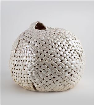 Anina Major: The Sacred Mangrove - Pérez Art Museum Miami (PAMM) 