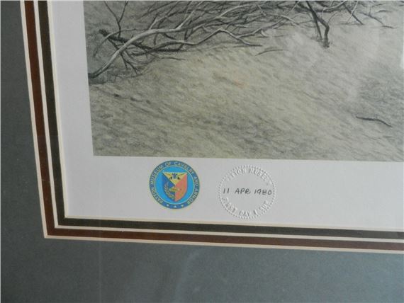 Charles Frace | American Bald Eagle Over Sand Dune (1980) | MutualArt