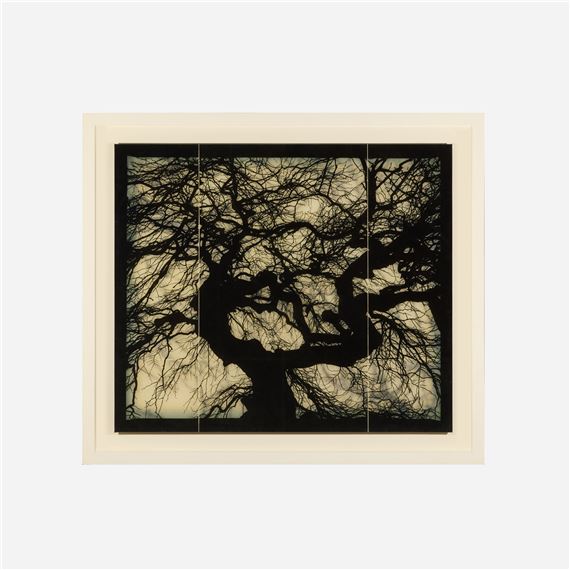 Doug & Mike Starn - 325 Artworks for Sale & Sold